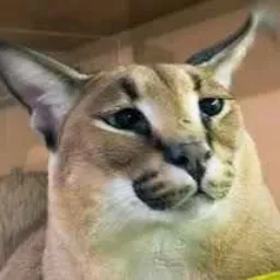 profile picture of revx155